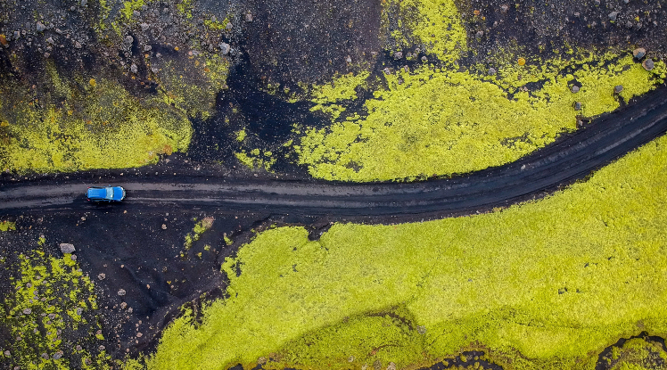 買車時需要注意的6個事項