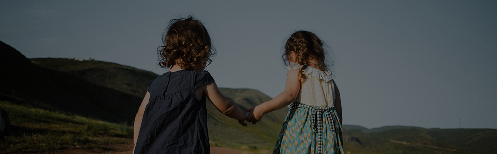 Allianz Motor Insurance Claim