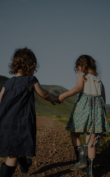 Allianz Motor Insurance Claim